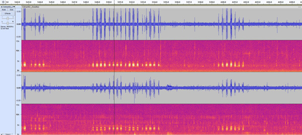 Hydrophone wave form closeup