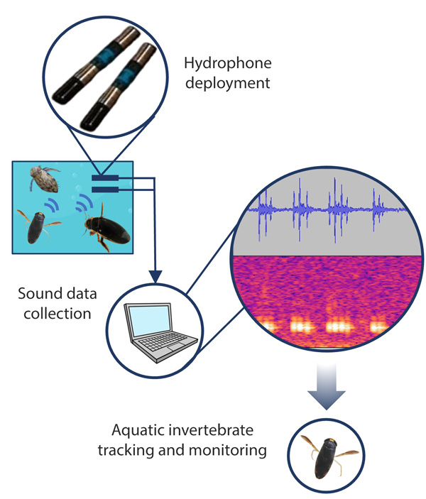 diagram of PAM in action