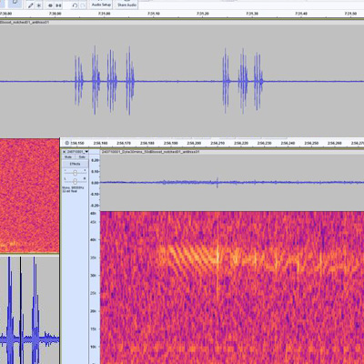 hydrophone software waveforms